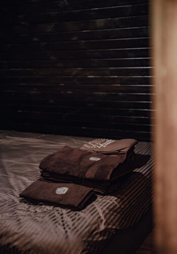 Дом A-Frame "Brown"